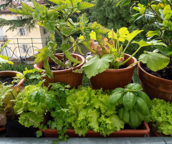 🪴 𝐏𝐆𝐒 𝐂𝐡𝐞𝐜𝐤-𝐢𝐧: If we could help you with ONE thing this year, what would it be?