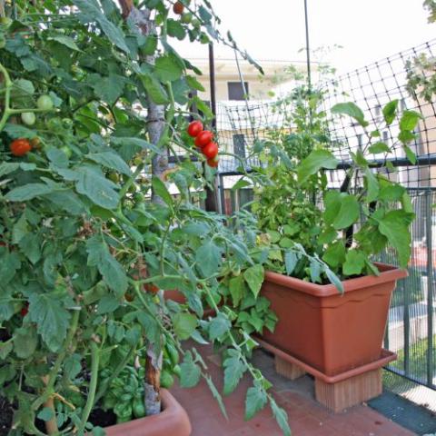 The Potted Garden Society gallery image