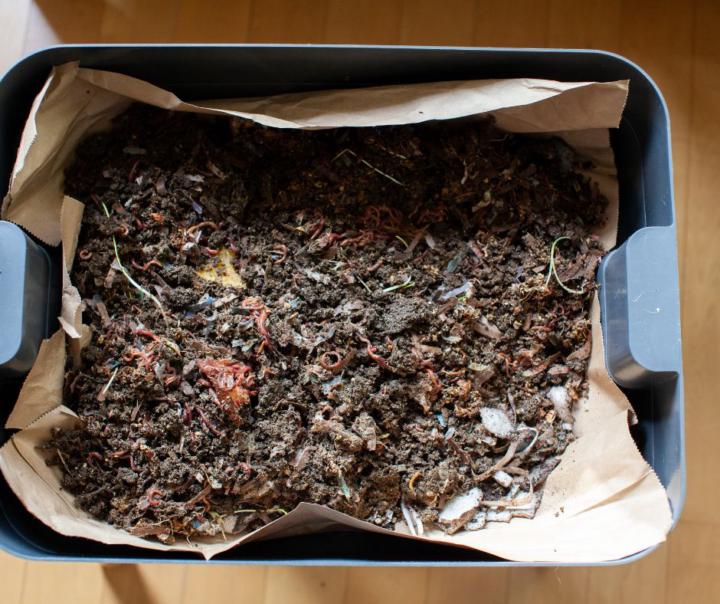 Celebrate and Learn About Composting Day: Tips for Composting in Small Spaces