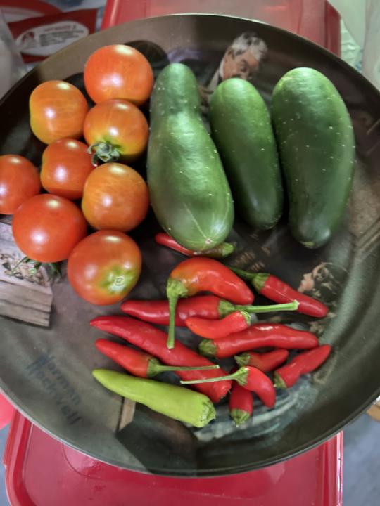 My mini vegetables