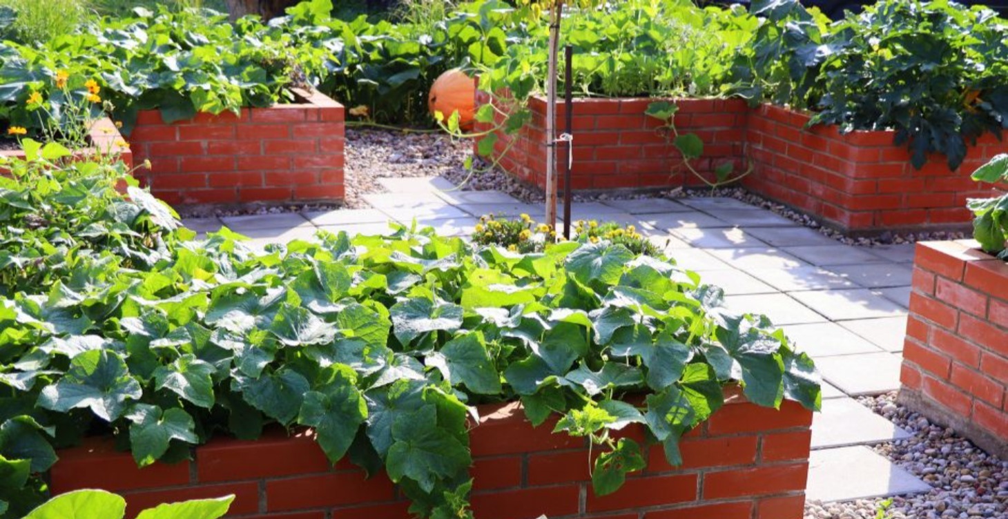 Founding Gardener Kit: Exclusive Member Resources