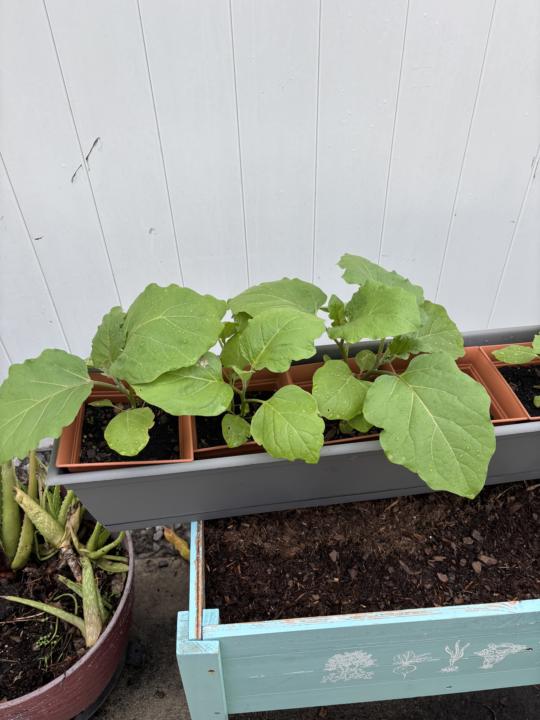 Getting ready for fall