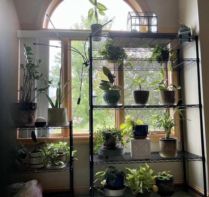 Indoor plant nook