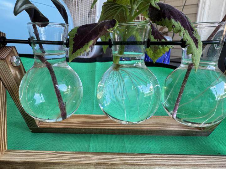 Water to soil 