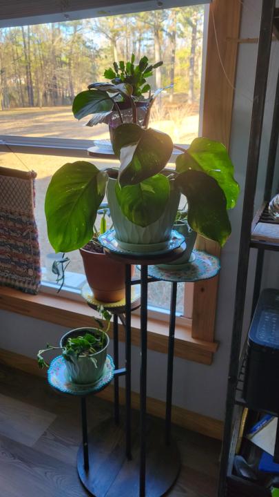 Thank you so much. I put my pots to good use! 