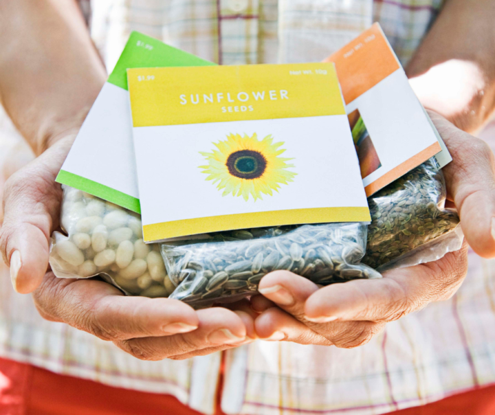 National Seed Swap Day (Last Saturday in January): Let’s Trade Seeds, Stories, and “Ooo I Want That One!” 🌱✨