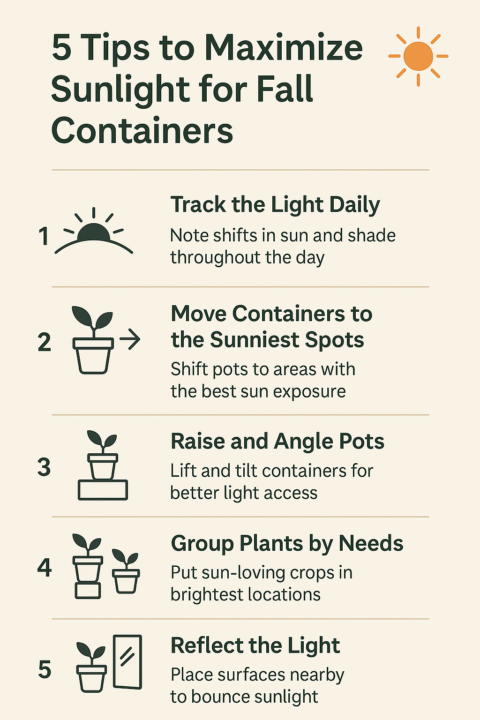 Sunlight Shift: Adjusting Container Placement in Fall 🌞🍁🪴