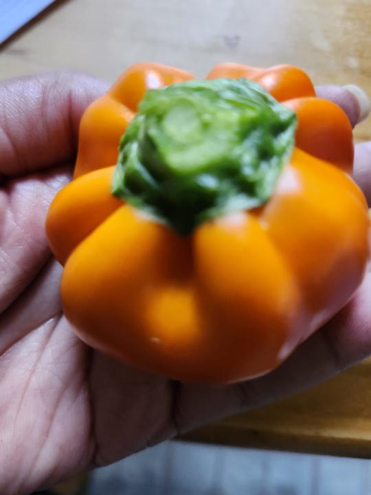 Orange You Sweet