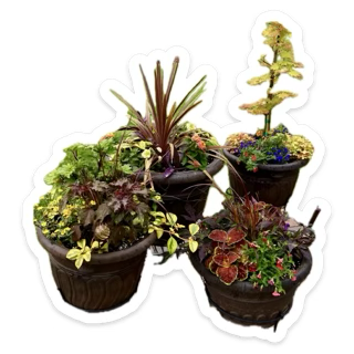 Calling all Florida gardeners.  