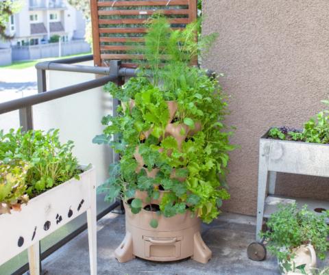 The Potted Garden Society gallery image