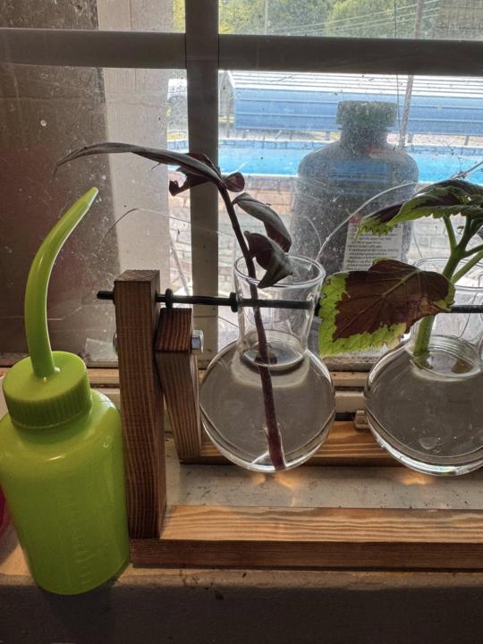 Water Propagation