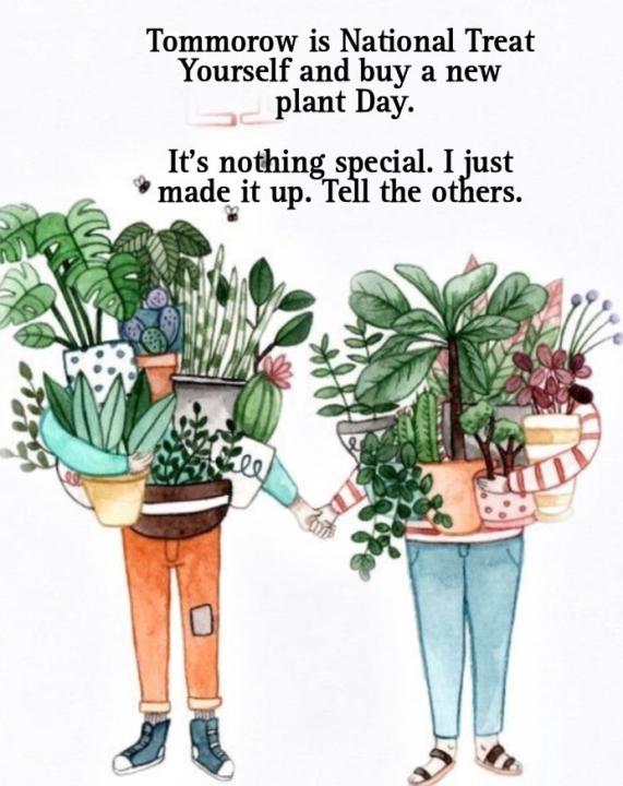 Plant day