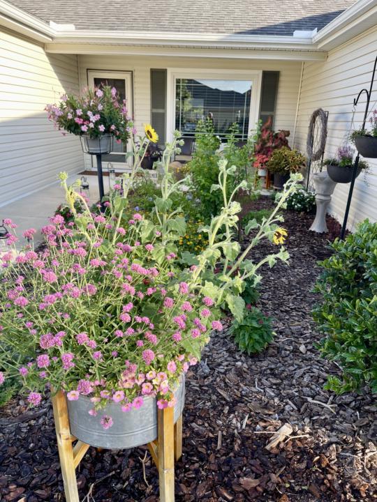 Garden color!