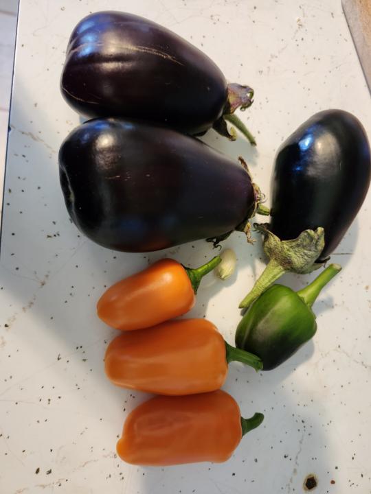 Mini veggies