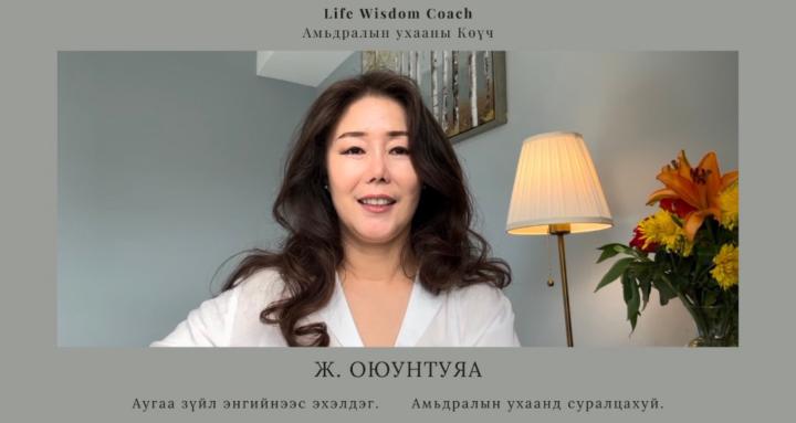University of Life
