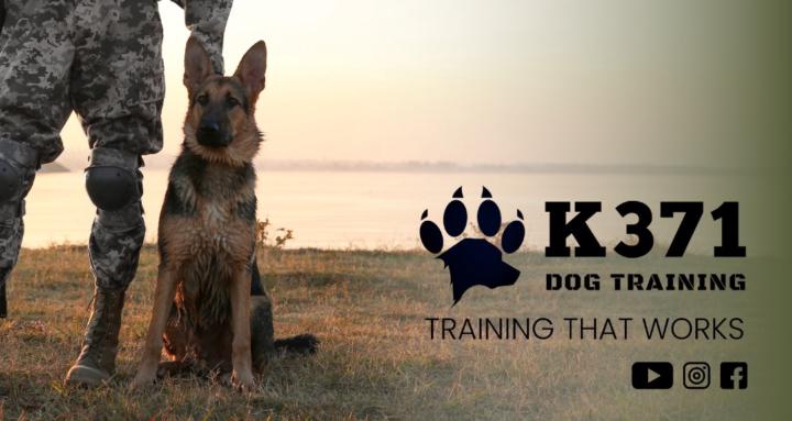 K371 Dog Training Academy