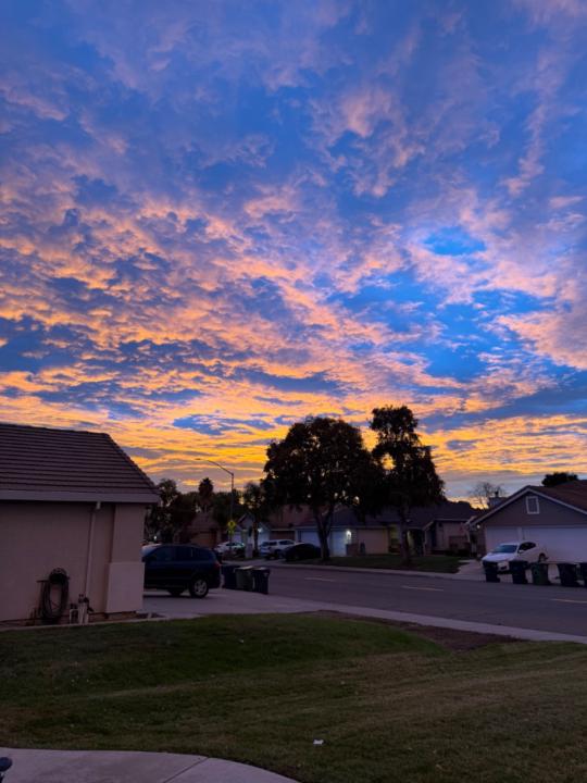 Marie Charmaine Sayuno