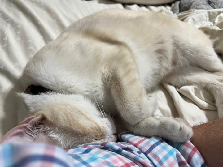 Arturo González Garza