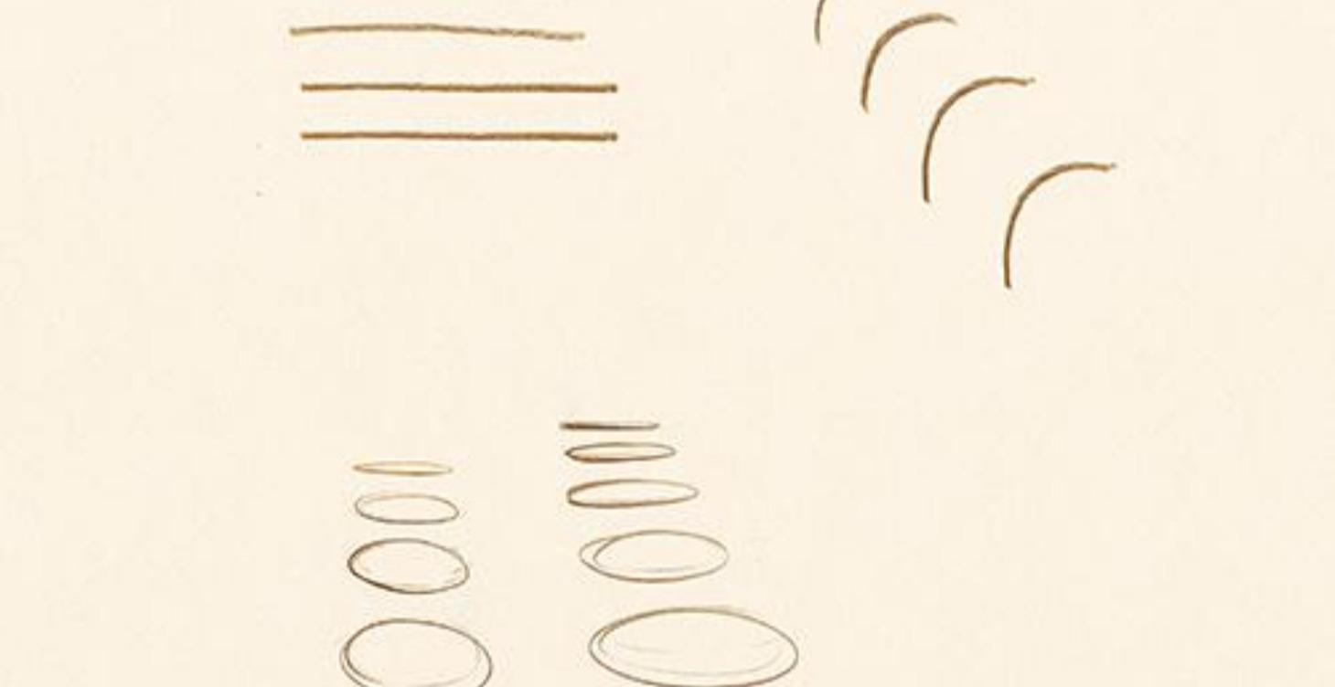 These are your pencil drawing warm-ups.