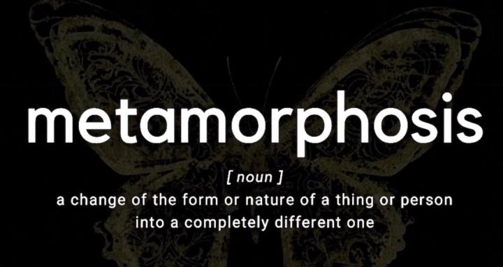 Metamorphosis