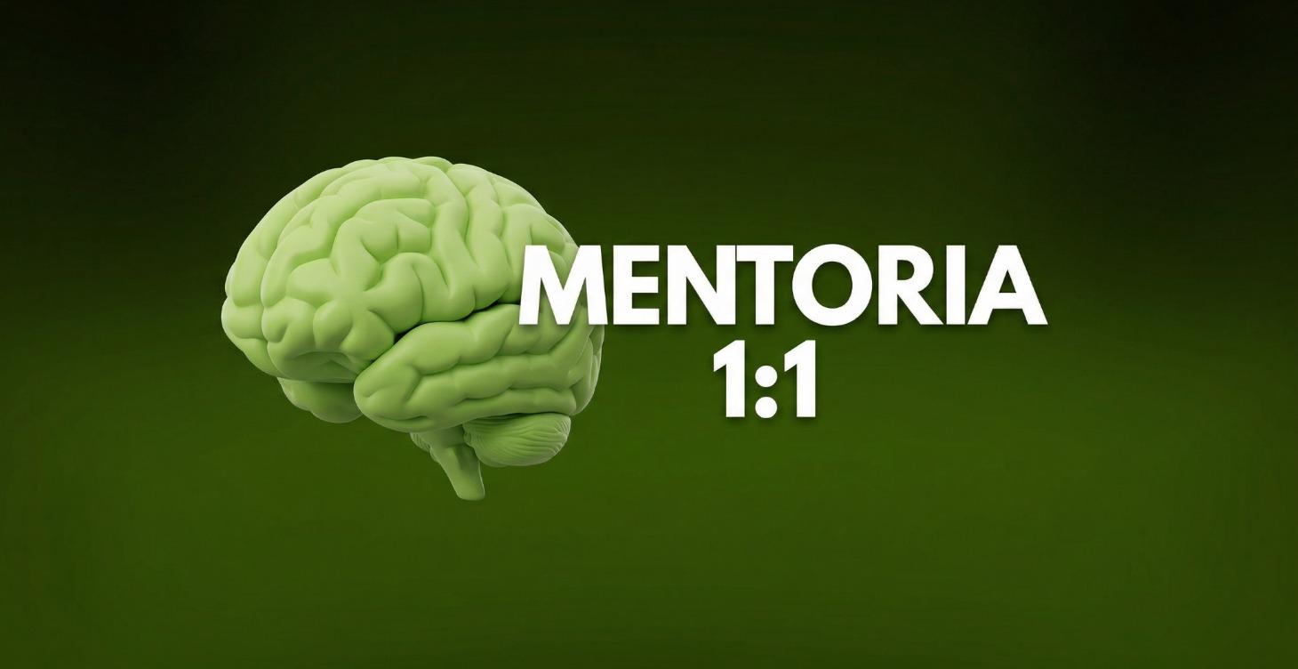 Mentoria - Fase 2