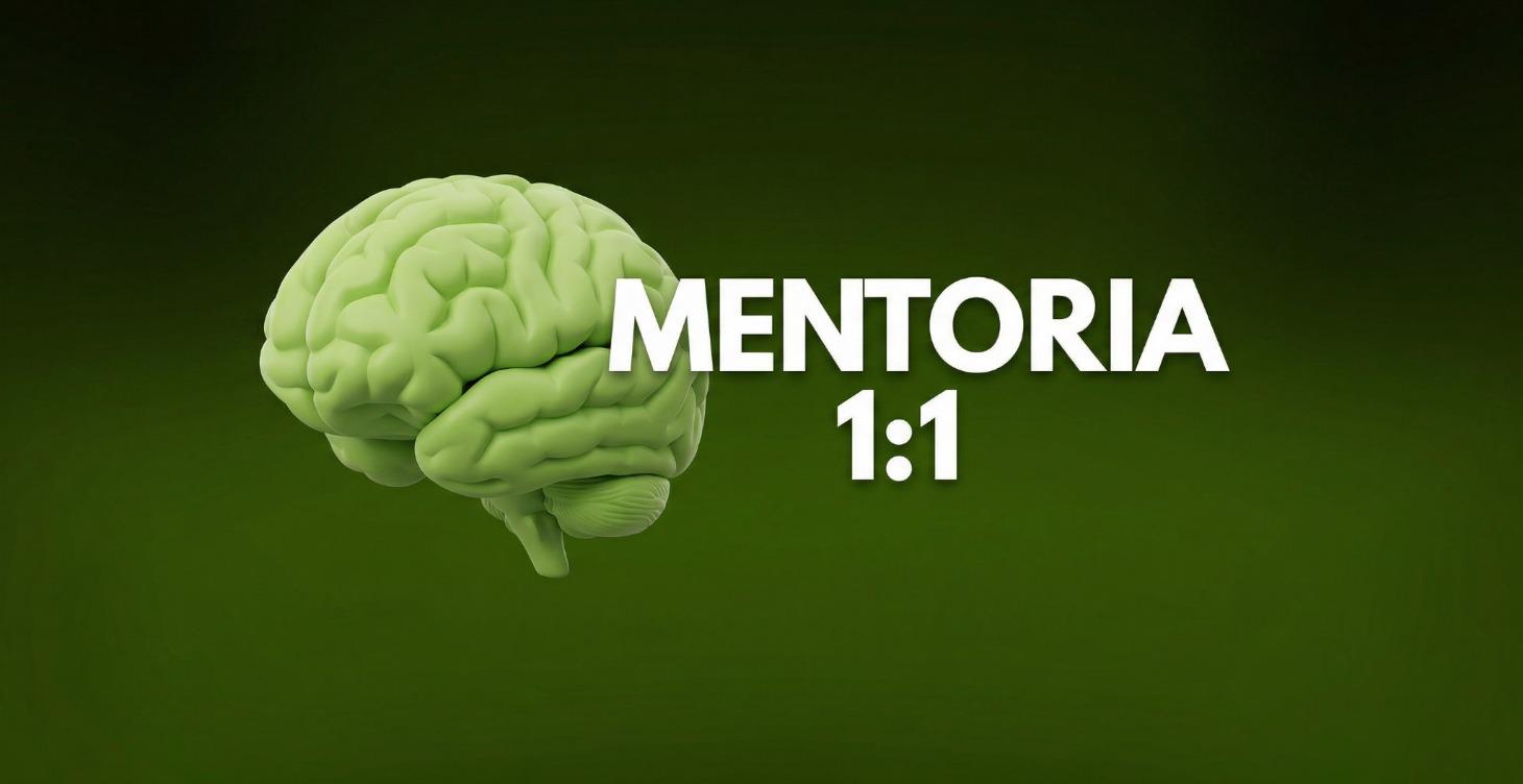 Mentoria - Fase 3