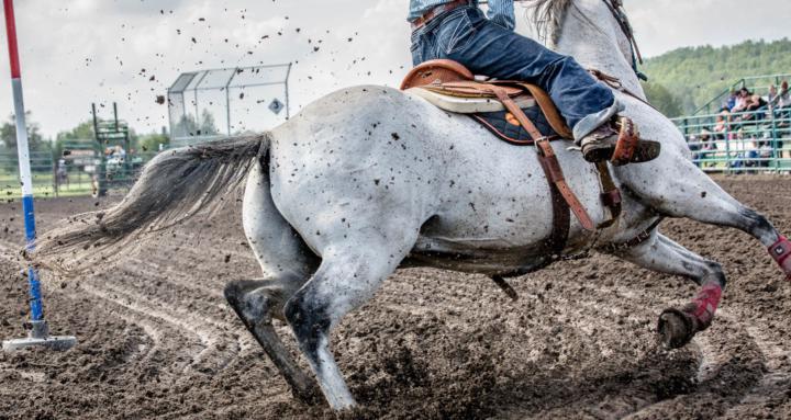 Equine Event Photography
