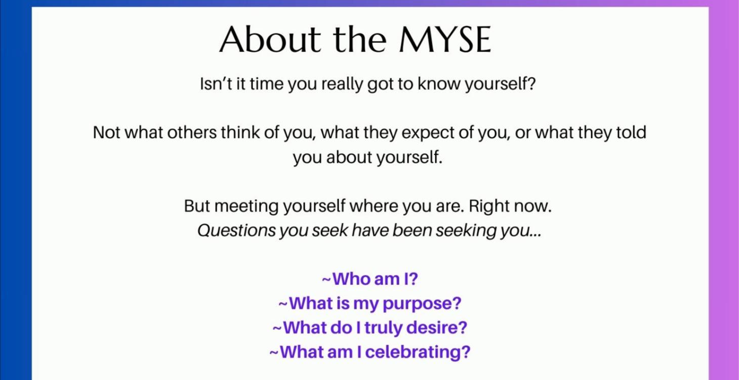 Meet Your Self Experience