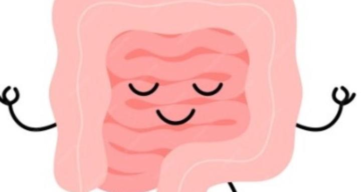 Cuidandotuintestino