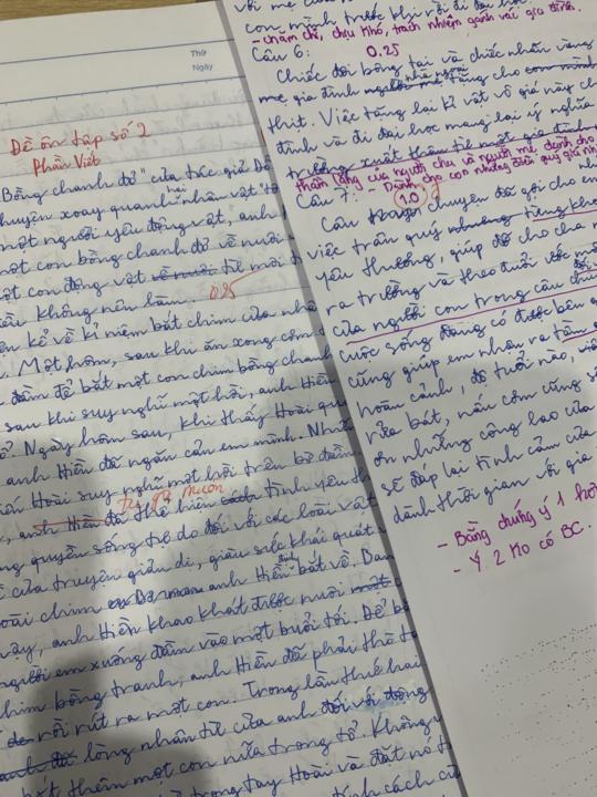 🎄 Day 11 - December 13 ✨