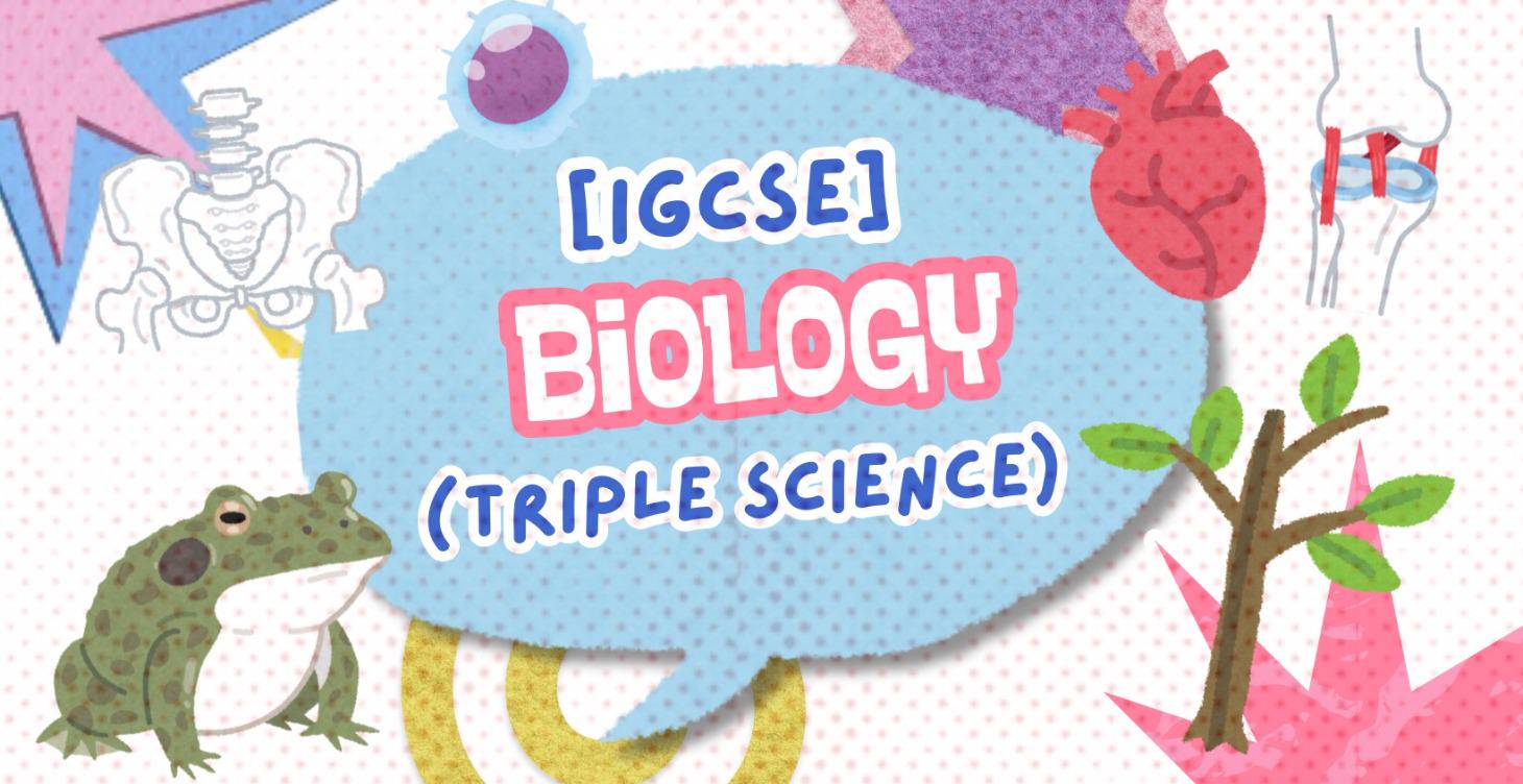 [IGCSE] Biology - 0610 (Triple Science)