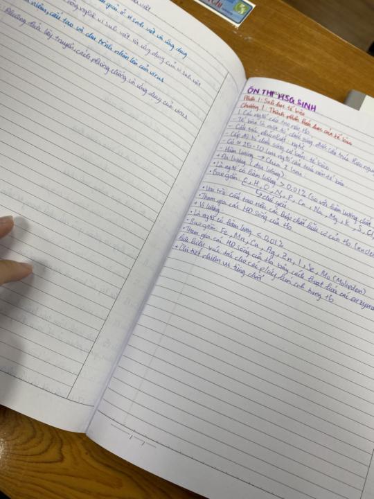 Day 2: Ieepy（╹◡╹）