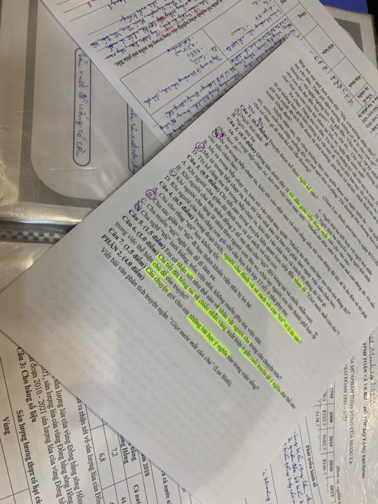 🎄 Day 10 - December 12 ✨