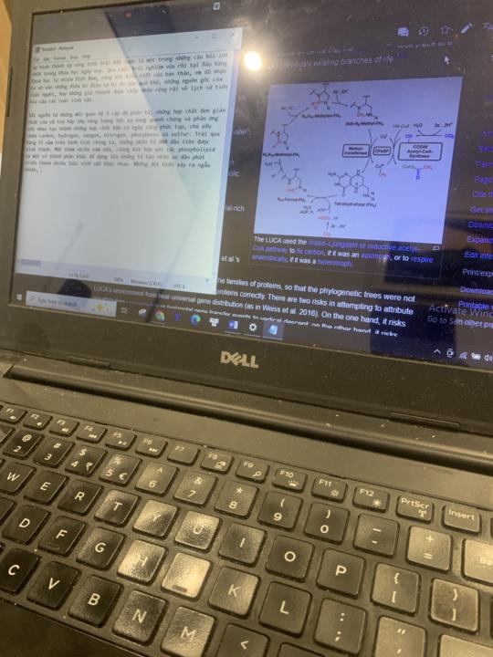 🎄 Day 24 - December 27 ✨