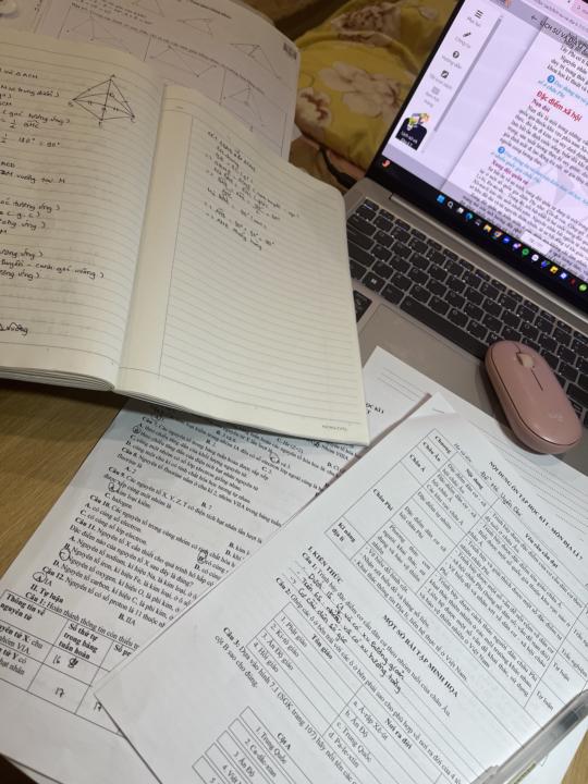 🎄✨DAY 3 ( 8th dec )✨🎄