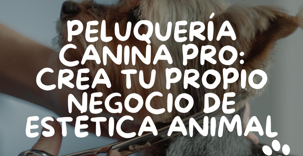 Peluquería Canina: Tu Negocio de Estética Animal