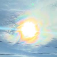 Josephine Finocchiaro