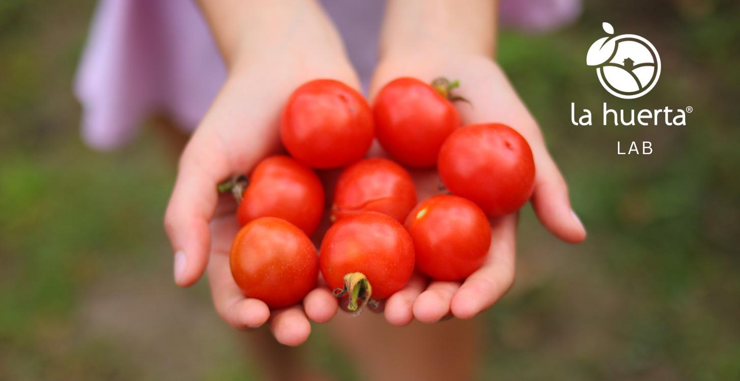 Recorrido inicial – La Huerta LAB