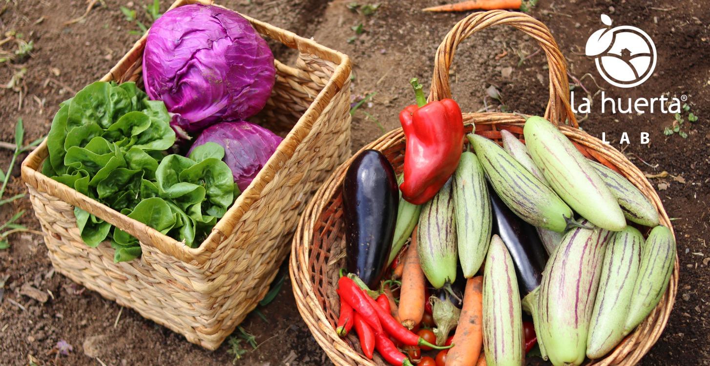 Cómo entender y mejorar el suelo de tu finca