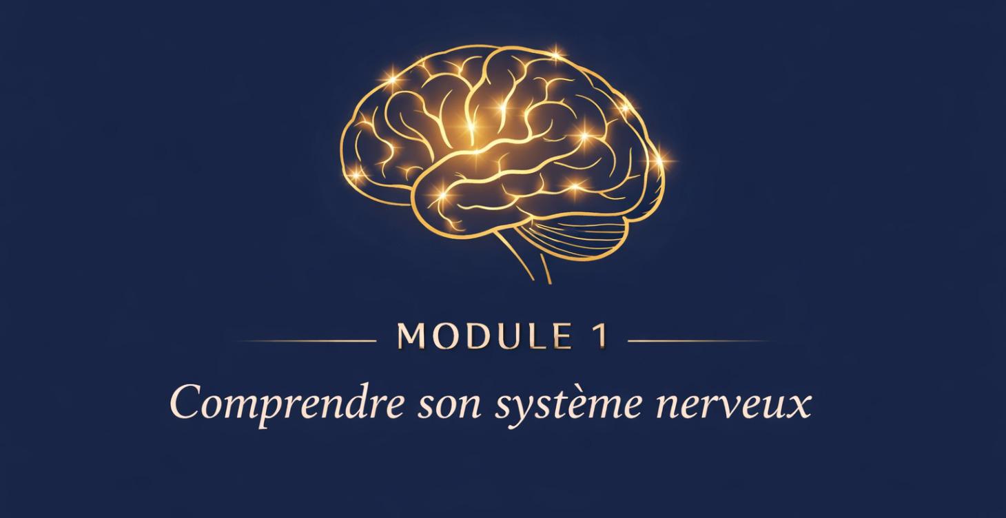 Comprendre le systéme nerveux