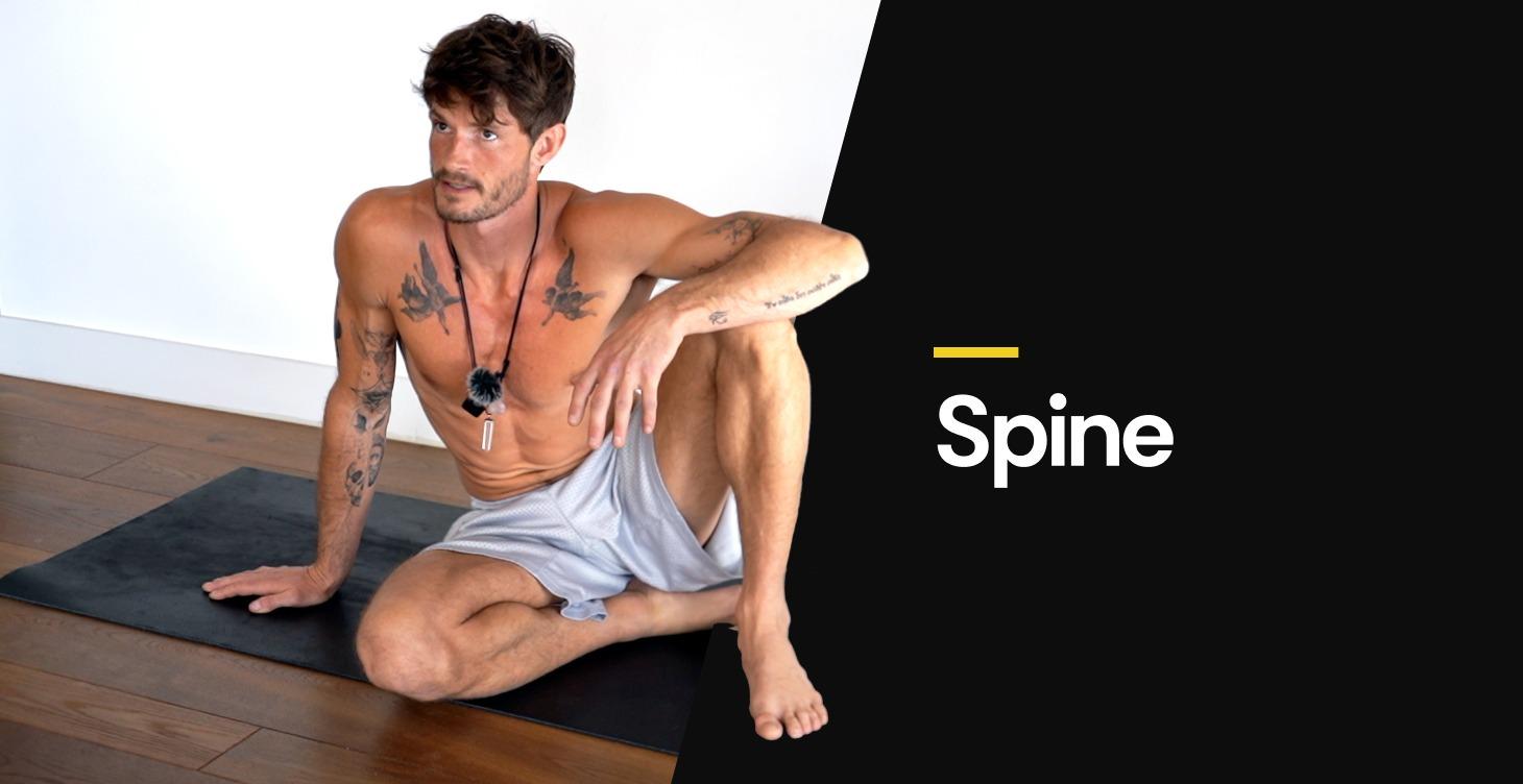 Spine