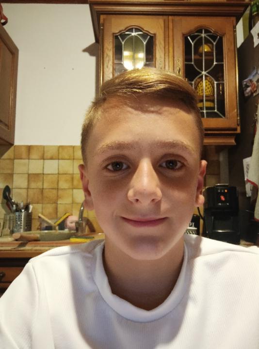 Maxim Basset ferrara