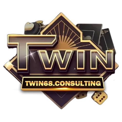 Twin Consulting