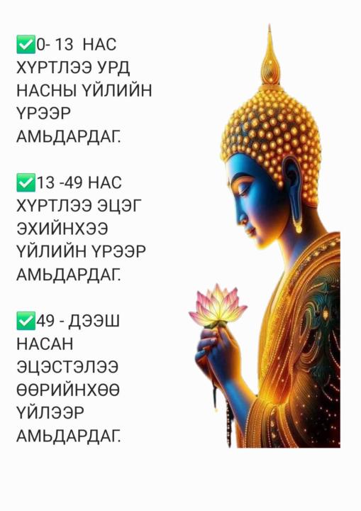 Ажиглаад ухаар,  ухаарснаа хэрэгжүүл. 