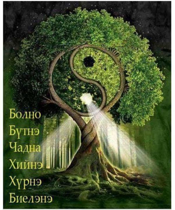 Мэдлэгт тань