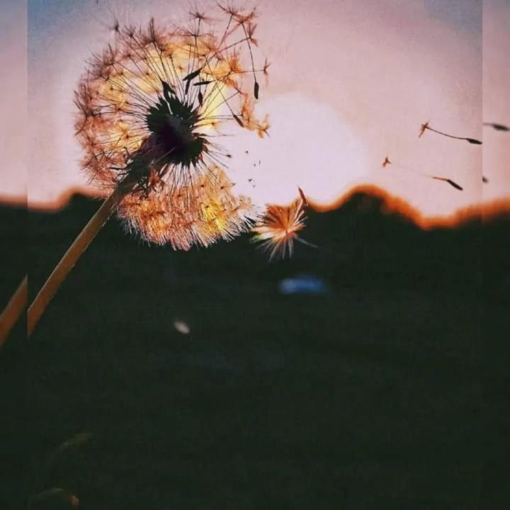 Зүгээр дэ зүгээр💝💝💝