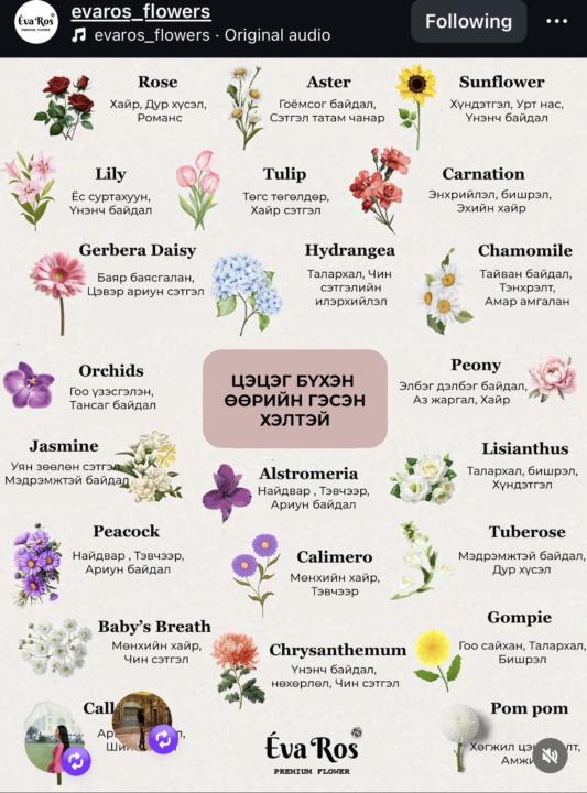 Мэдлэгт тань