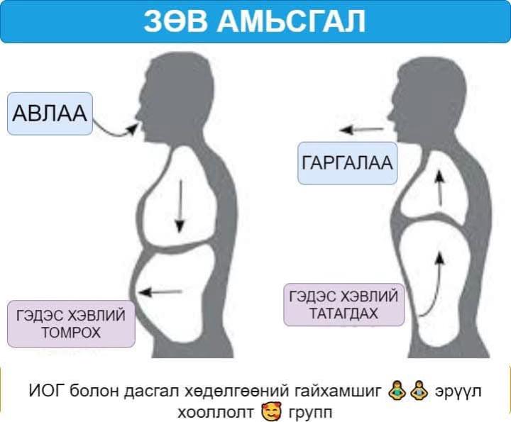 🌟Амьсгал зогсоход амьдрал зогсдог. 🌟 Зөв амьсгал бол хэвлийн амьсгал юм.🌕