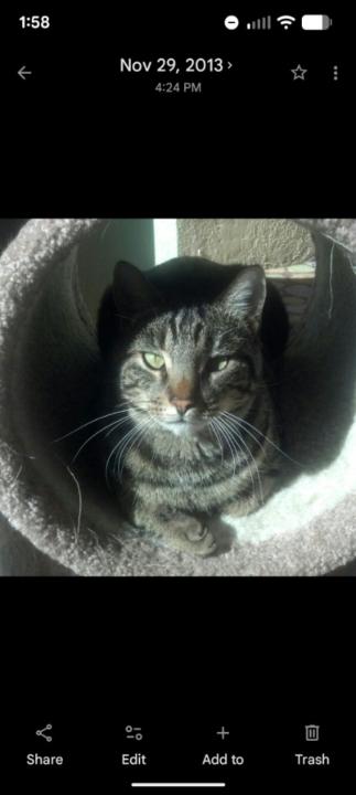 Jessica Van brocklin