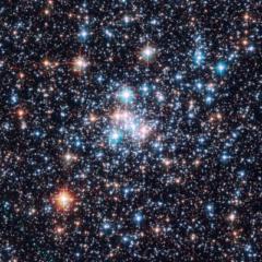 Dugar Enkhbat